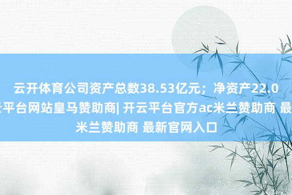 云开体育公司资产总数38.53亿元；净资产22.09亿元-开云平台网站皇马赞助商| 开云平台官方ac米兰赞助商 最新官网入口