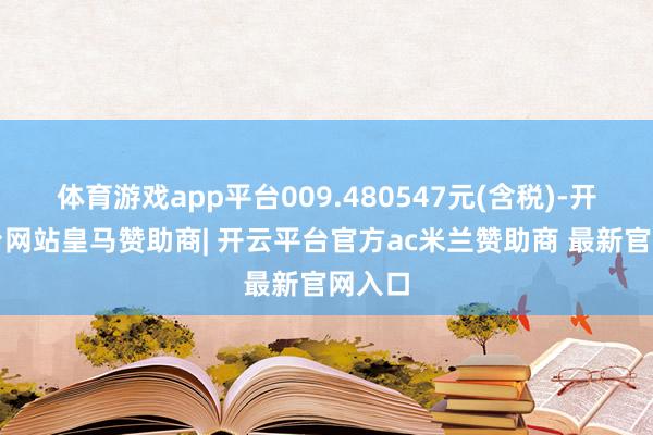体育游戏app平台009.480547元(含税)-开云平台网站皇马赞助商| 开云平台官方ac米兰赞助商 最新官网入口