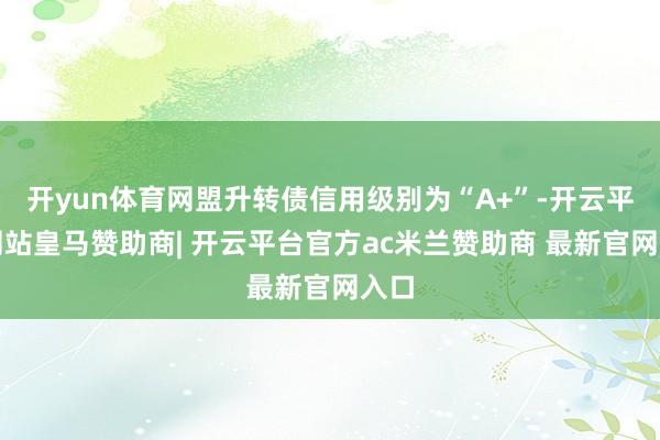 开yun体育网盟升转债信用级别为“A+”-开云平台网站皇马赞助商| 开云平台官方ac米兰赞助商 最新官网入口