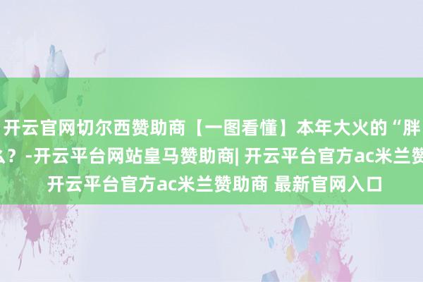 开云官网切尔西赞助商【一图看懂】本年大火的“胖哒”债券，你了解么？-开云平台网站皇马赞助商| 开云平台官方ac米兰赞助商 最新官网入口