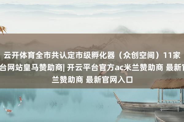 云开体育全市共认定市级孵化器（众创空间）11家-开云平台网站皇马赞助商| 开云平台官方ac米兰赞助商 最新官网入口
