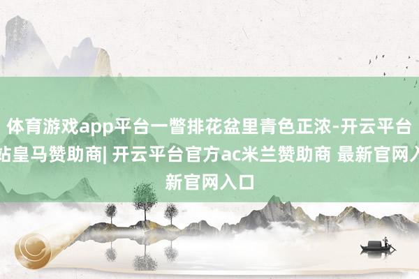 体育游戏app平台一瞥排花盆里青色正浓-开云平台网站皇马赞助商| 开云平台官方ac米兰赞助商 最新官网入口
