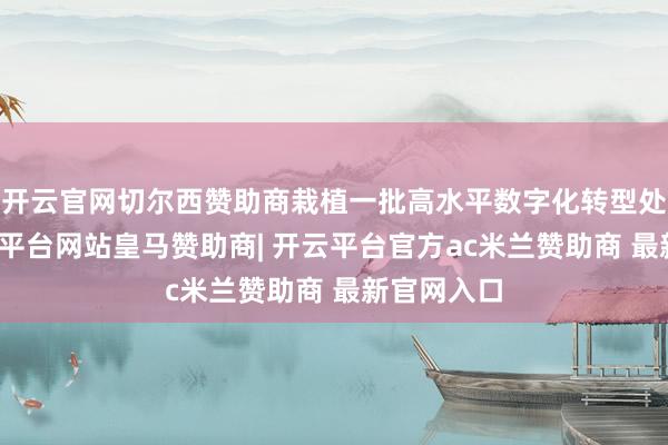 开云官网切尔西赞助商栽植一批高水平数字化转型处事商-开云平台网站皇马赞助商| 开云平台官方ac米兰赞助商 最新官网入口